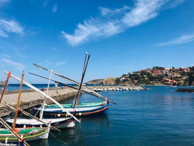 Villa Confort Et Cosy 20 Minutes D'Espagne Plage d'Argeles ภายนอก รูปภาพ